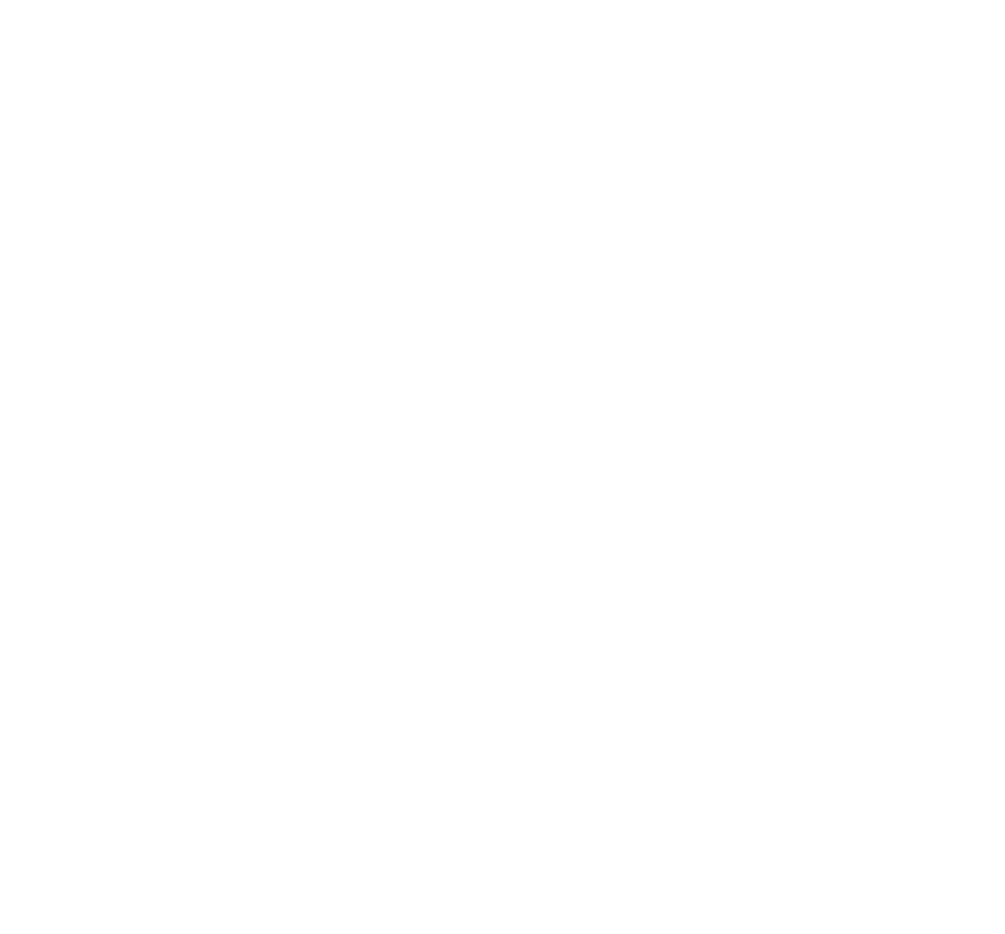 Party Table